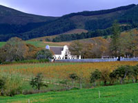 grootconstantia_SATourism.jpg